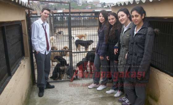 Öğrencilerden Hayvan Bakım Evine Ziyaret