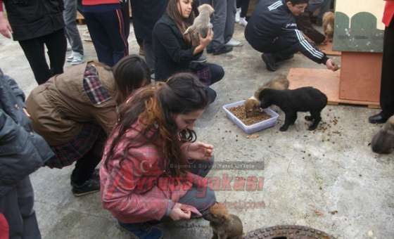 Öğrencilerden Hayvan Bakım Evine Ziyaret