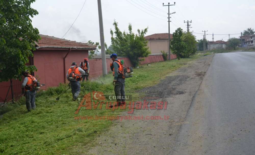 Park Ve Bahçeler Müdürlüğü Ekipleri Çalışmalarını Sürdürüyor