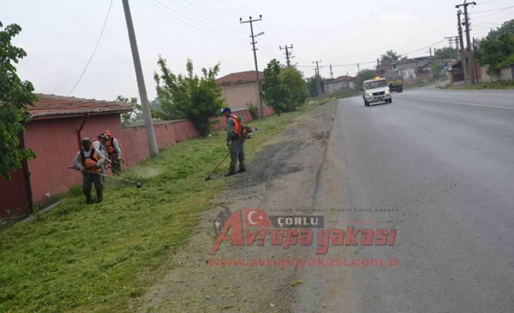 Park Ve Bahçeler Müdürlüğü Ekipleri Çalışmalarını Sürdürüyor