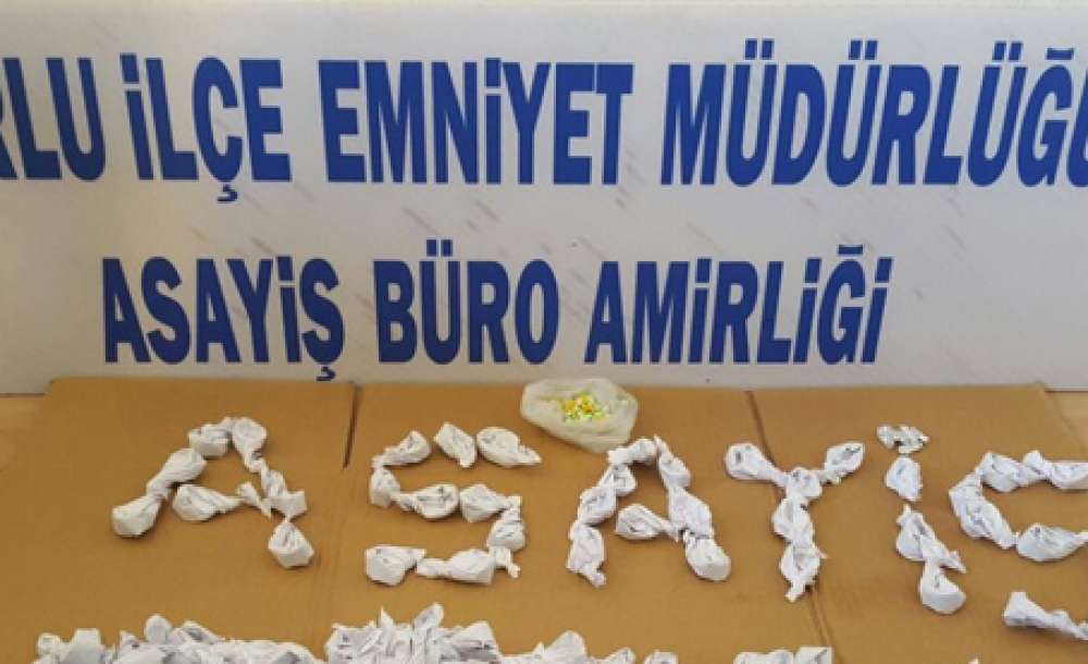Çorlu'da Bonzai Ele Geçirdi