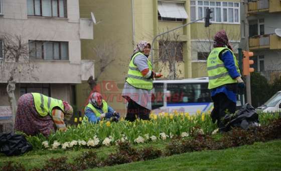 Havuzlara Bakım Ve Peyzaj Çalışması