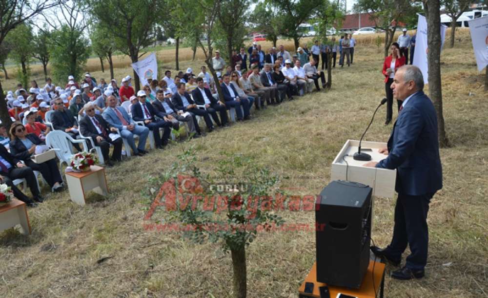 Örnek Ceviz Bahçesi Açıldı