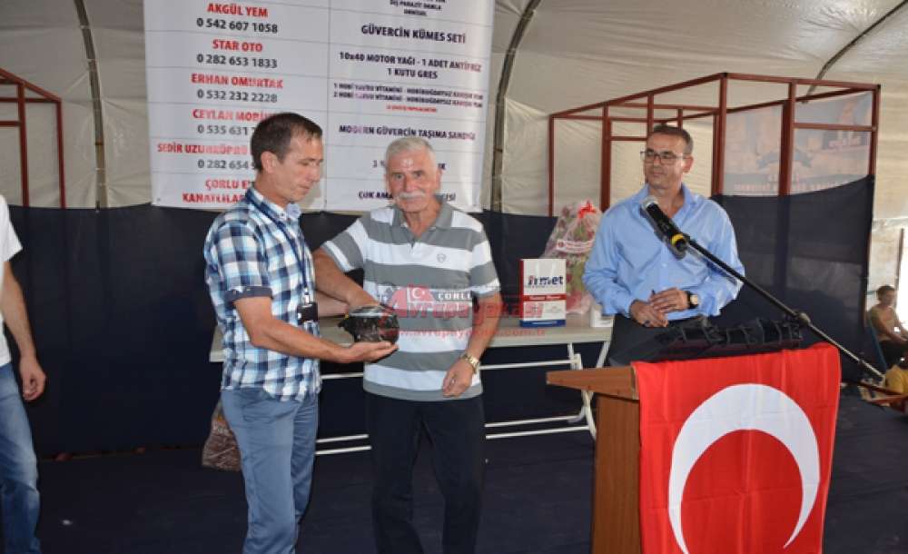 Çorlu Evcil Kanatlılar Derneği'nin Fuarına Yoğun İlgi