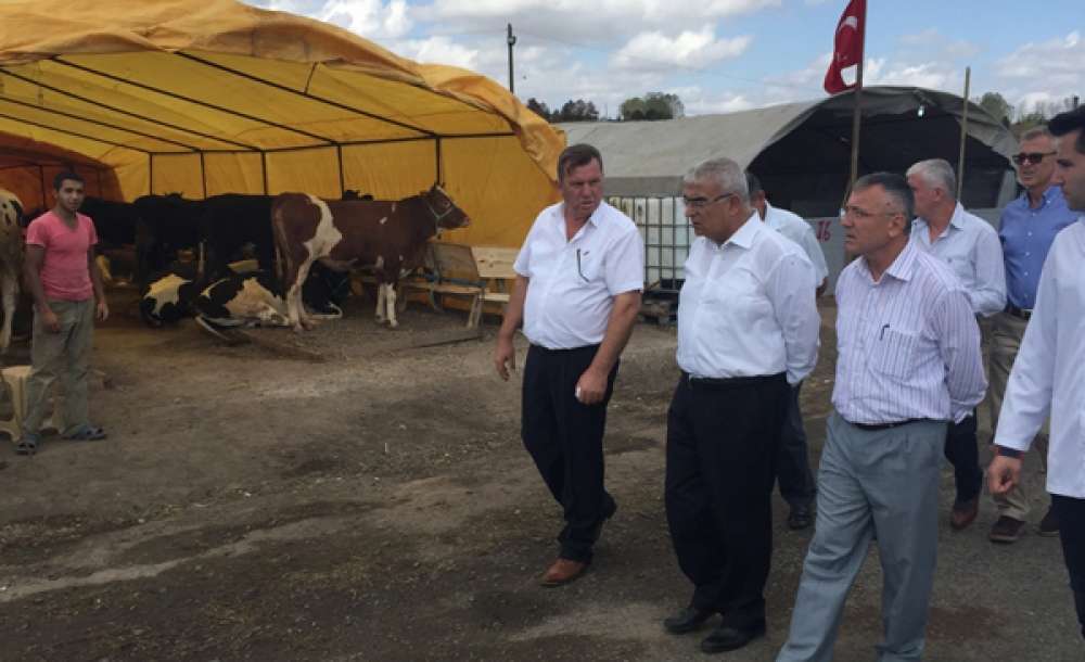 Çorlu'da Kurban Bayramı Hazırlıkları Başladı