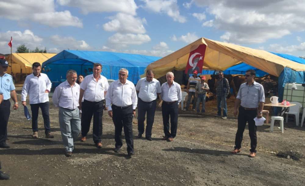 Çorlu'da Kurban Bayramı Hazırlıkları Başladı   