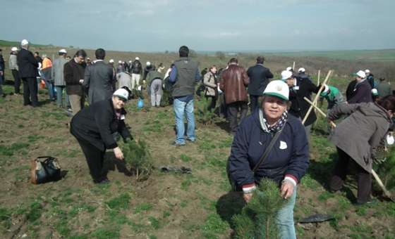 Tekirdağ'da Muhteşem Bir Orman Bayramı