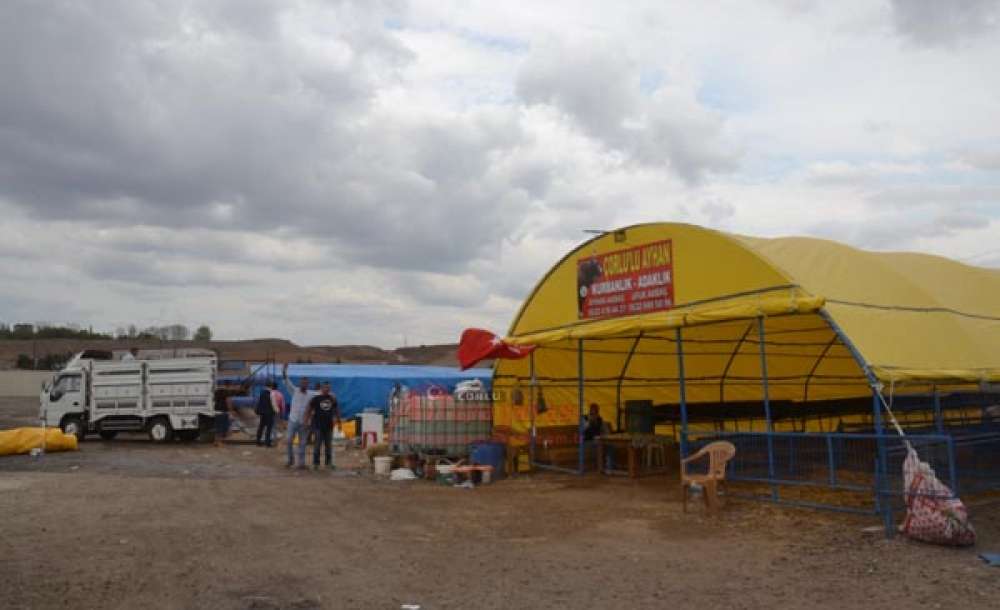 Besicilerin Yüzü Güldü