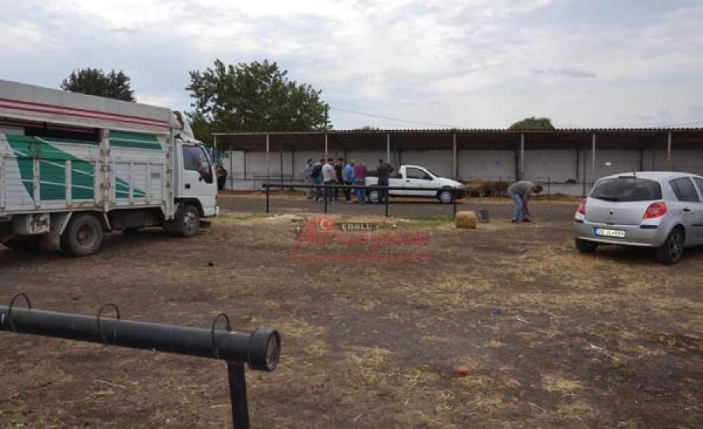 Besicilerin Yüzü Güldü