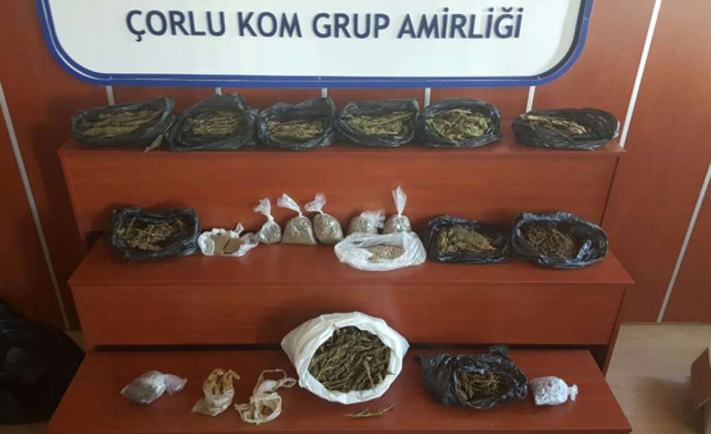 Çorlu'da Zehir Tacirlerine 3. Dalga Operasyon