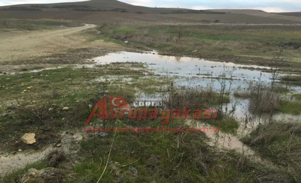 Sular Akıyor Teski Bakıyor