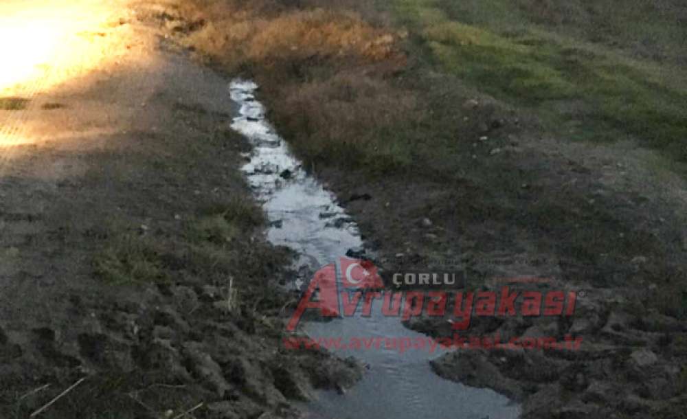 Sular Akıyor Teski Bakıyor