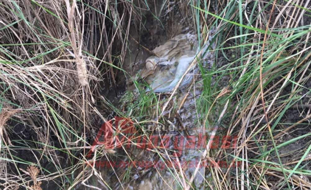 Sular Akıyor Teski Bakıyor