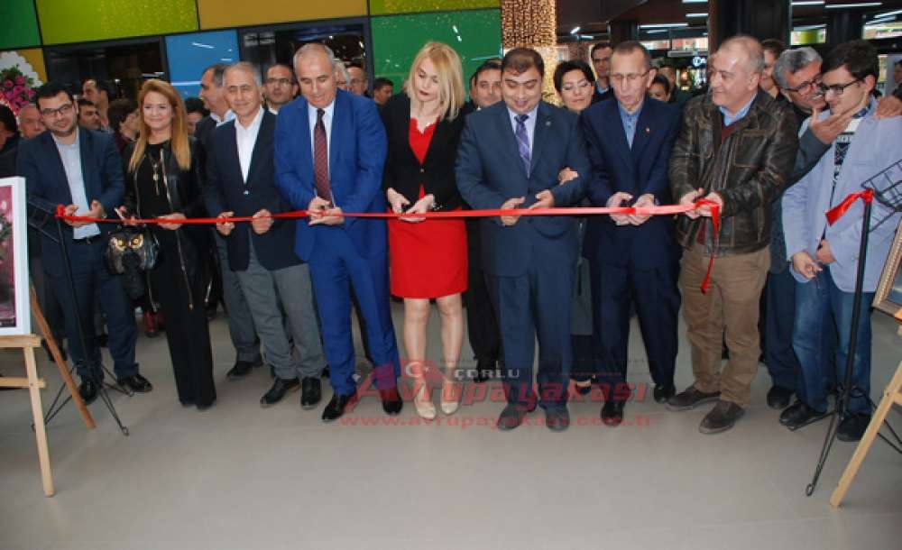 Ressam Seyhan Umay Yıldırım İlk Kişisel Sergisini Açtı