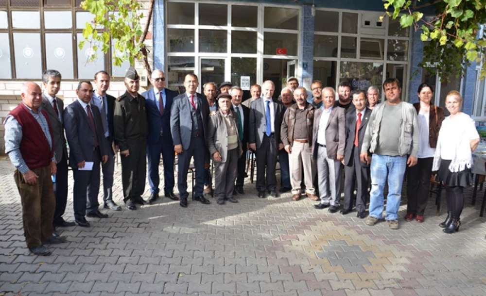 Vali Mehmet Ceylan Zeytin Hasadına Katıldı