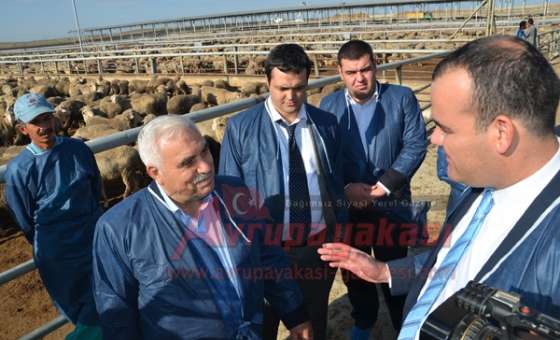 Angus Çiftliği Kapılarını Milletvekillerine Açtı  