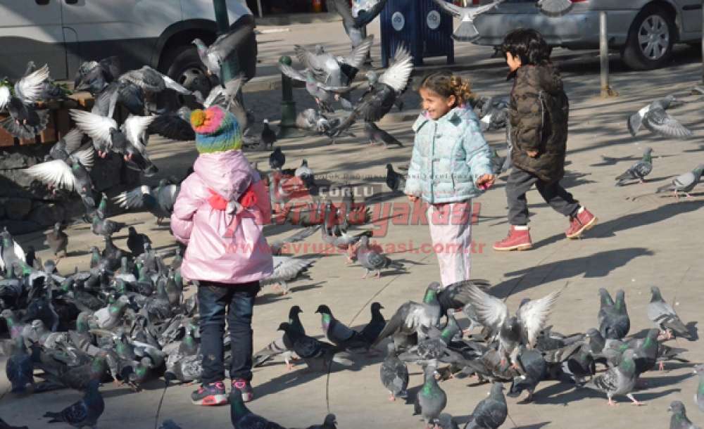 Güneşi Görenler Meydanları Doldurdu