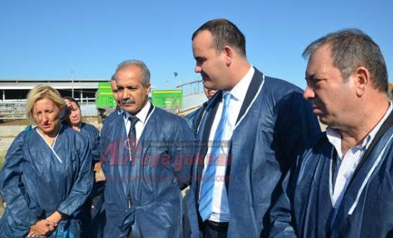 Angus Çiftliği Kapılarını Milletvekillerine Açtı  