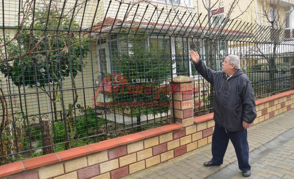 Havuzlar Sakinleri Dertli