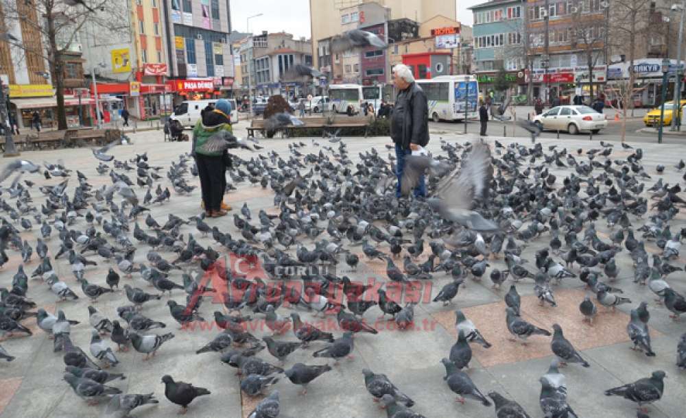 Soğuk Havalarda Onları Unutmayın