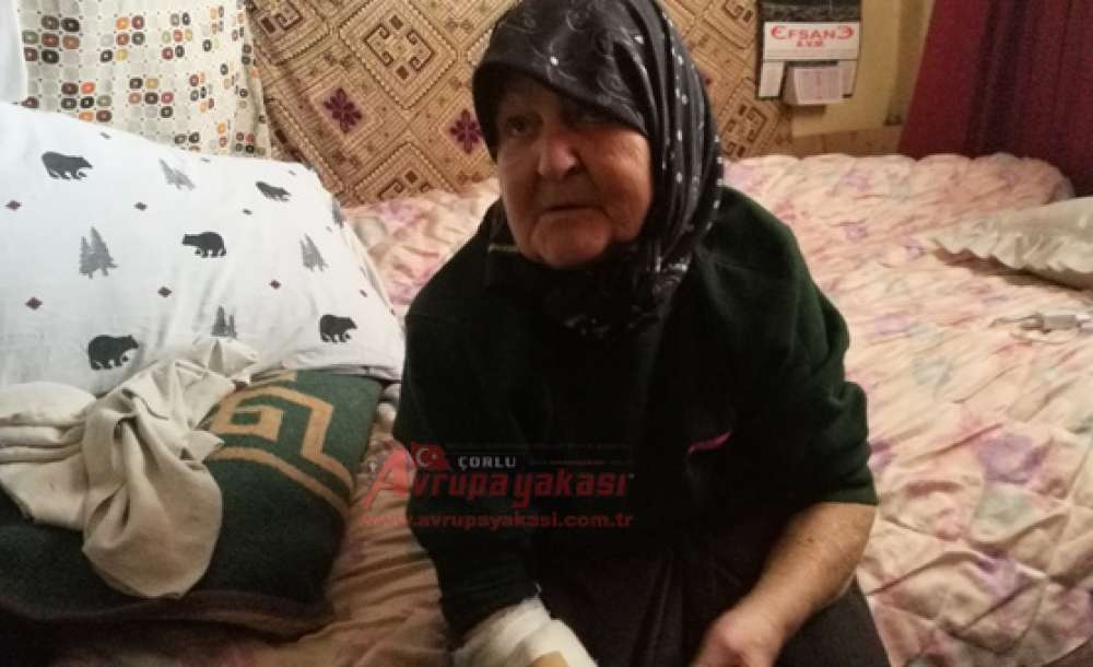 Yaşlı Kadın İçin Seferber Oldular