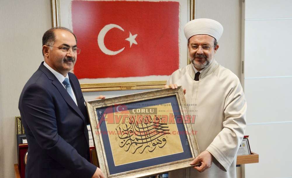 Çorlu Myo Öğretim Görevlisi Arif Şahin'in Yaptığı Tablo Mehmet Görmez'e Takdim Edildi