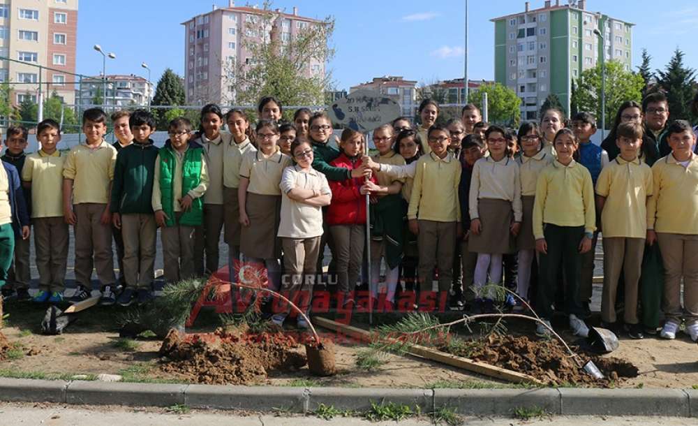 Çorlu'da Temiz Çevrem Yeşil Okulum Etkinlikleri