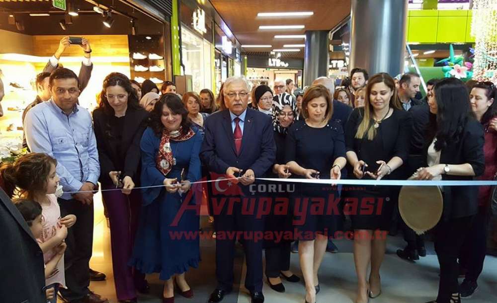 Renkli Hayatların Sanatı Sergilendi