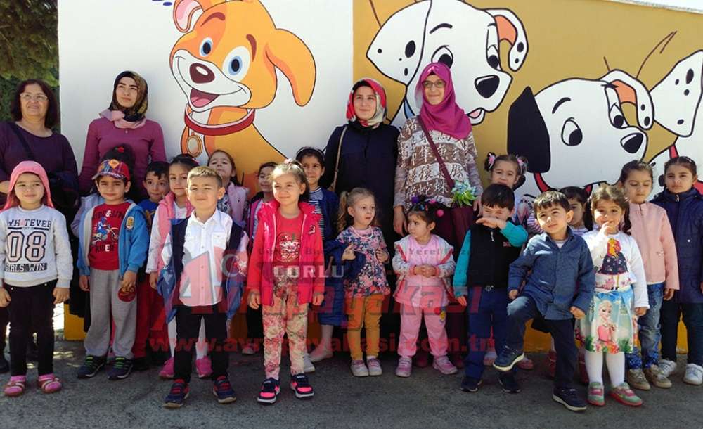 Öğrencilerden Hayvan Bakımevine Ziyaret