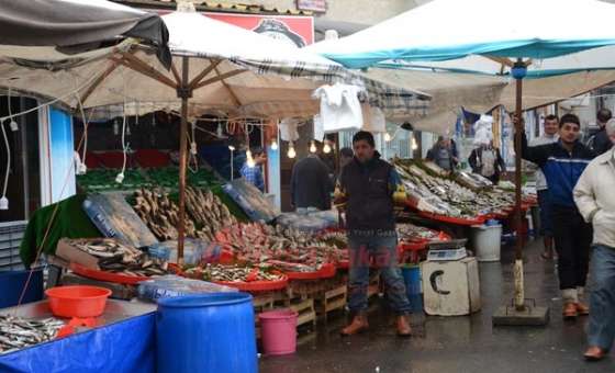 Balıkta Av Yasağı Başladı