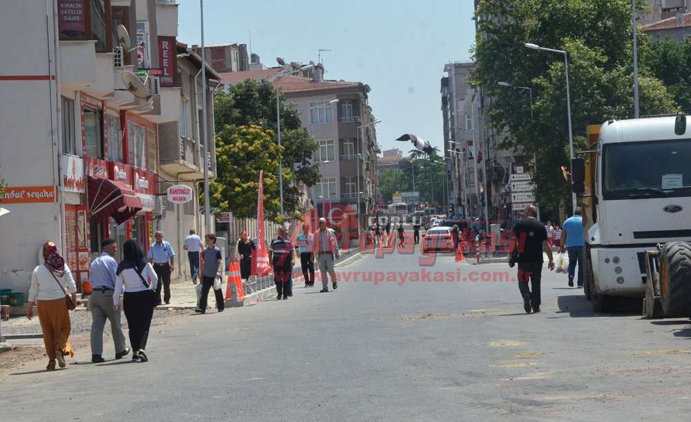 Ağaçlar Nereye Gitti?