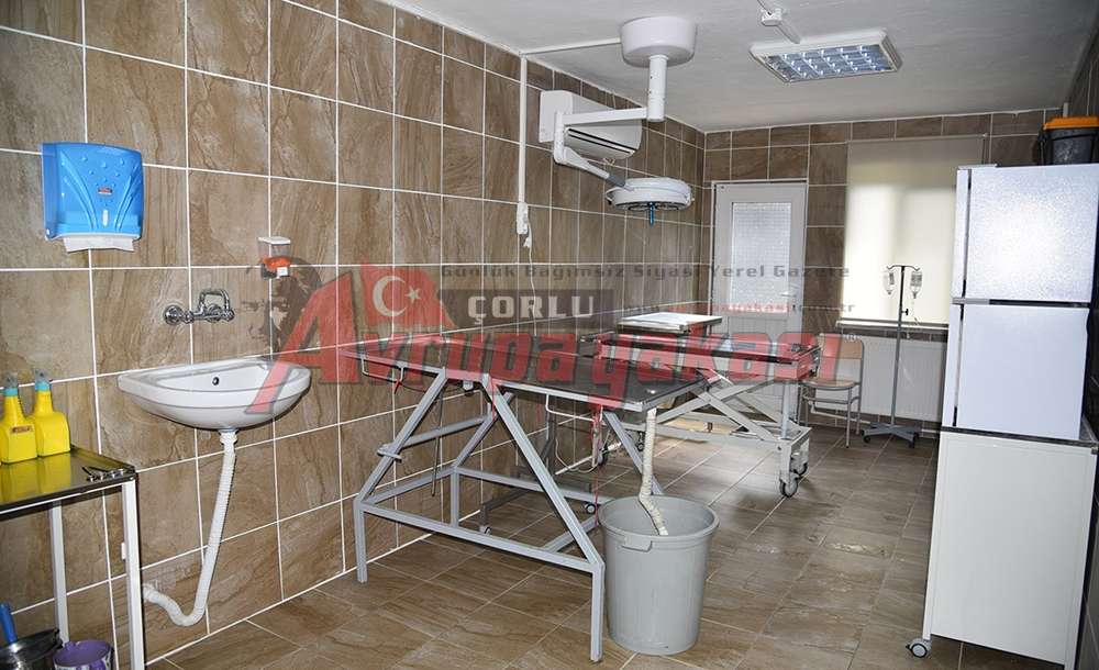 Çorlu Belediyesi Hayvan Severlerin Yüzünü Güldürdü