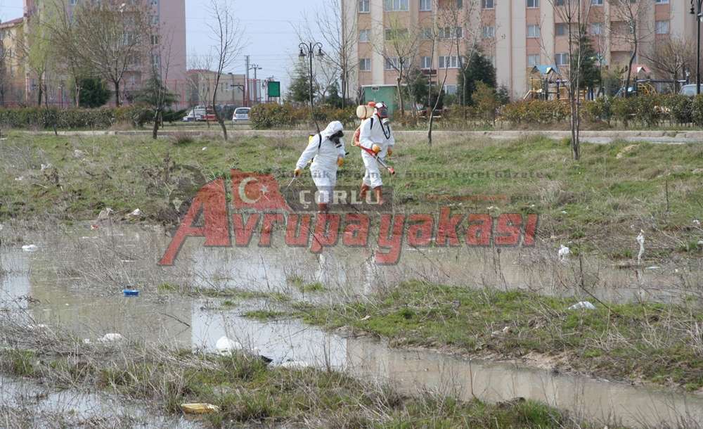 Bu Yıl İlaçlama Yapıldı Mı?