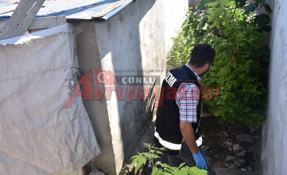Çorlu Polisinden Uyuşturucu Operasyonu 9 Gözaltı 