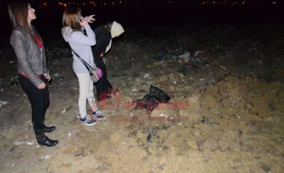 Köpek Katliamı İddiasına Soruşturma Başlatıldı