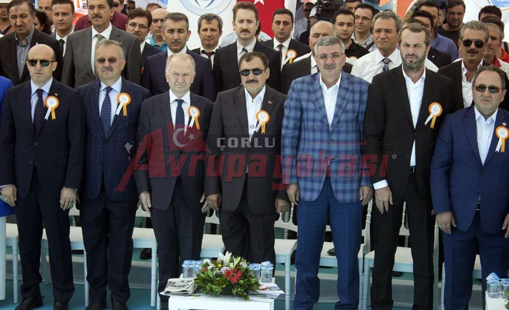 “Bu Bizim Bildiğimiz Köstebek, Anadolu Köstebeği”