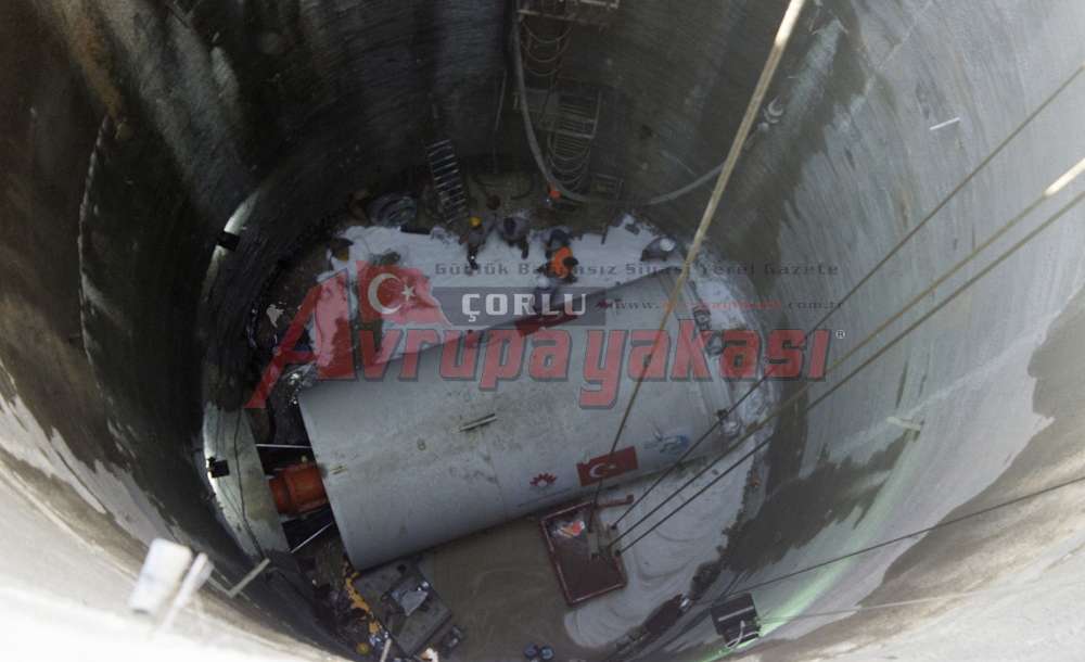 “Bu Bizim Bildiğimiz Köstebek, Anadolu Köstebeği”