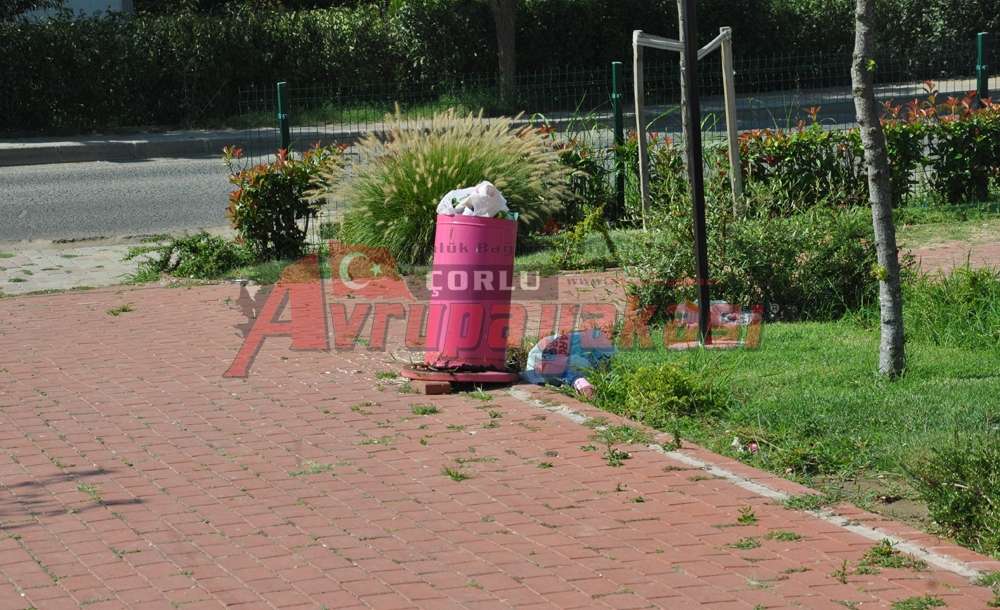 Parklara Zarar Verenler Tepki Çekiyor
