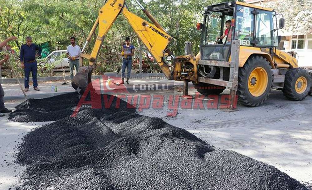 Ergene'de Kasis Çalışması