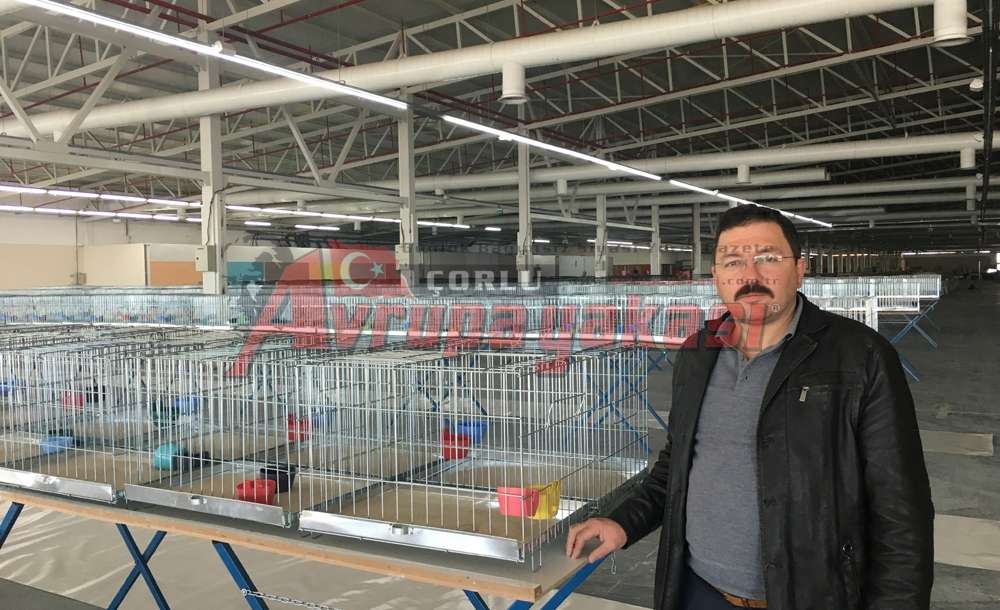 Festival Hazırlıkları Devam Ediyor