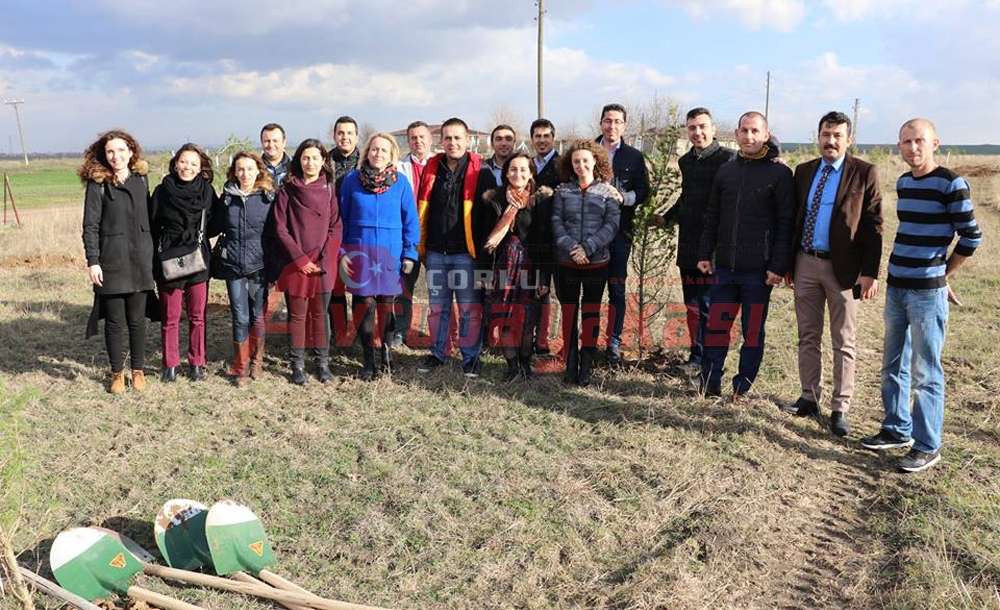 Ergene'de Esenler Mahallesi Ağaçlandırıldı