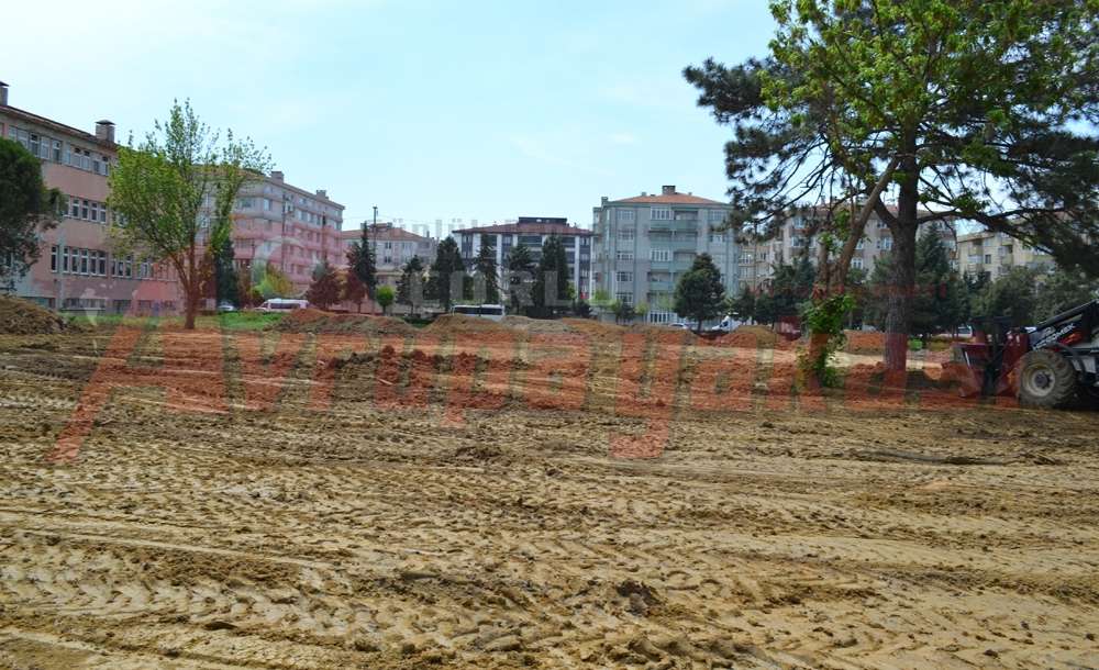 Park Oluyor