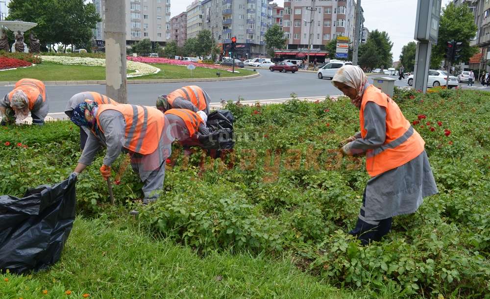 Kadınlar Çevreyi Güzelleştirmeyi Sürdürüyor