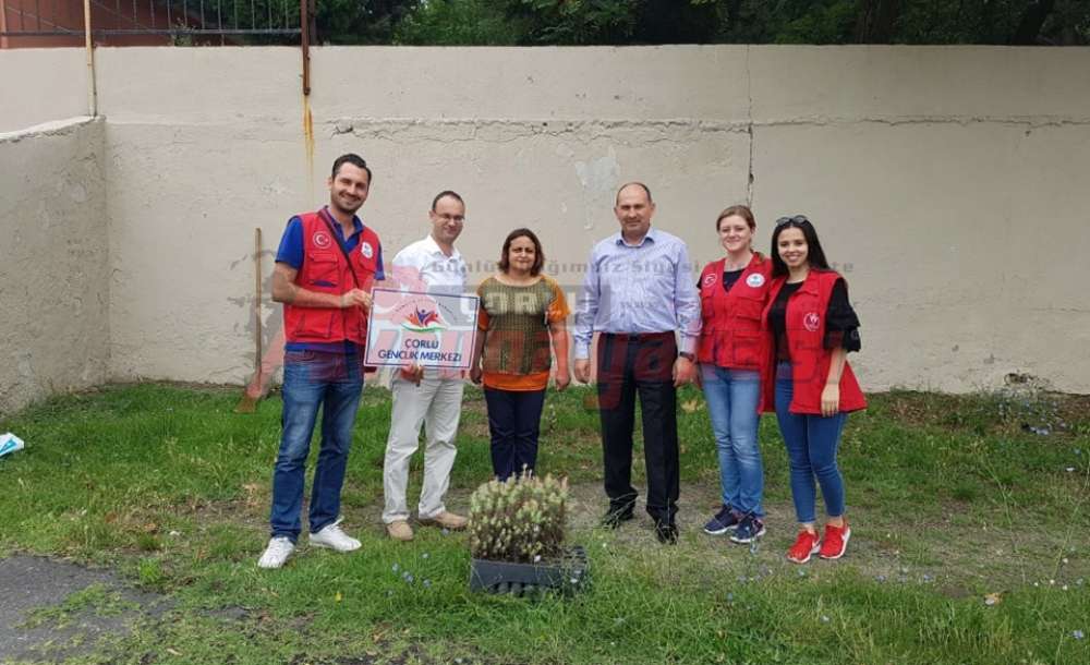 Fidan Diktiler