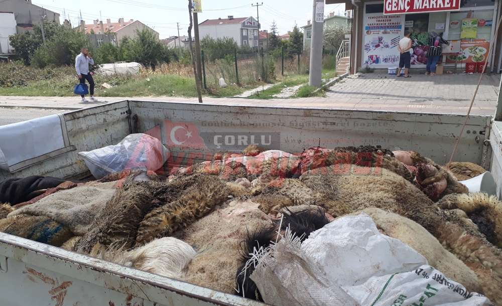 Kurban Derileri Toplandı