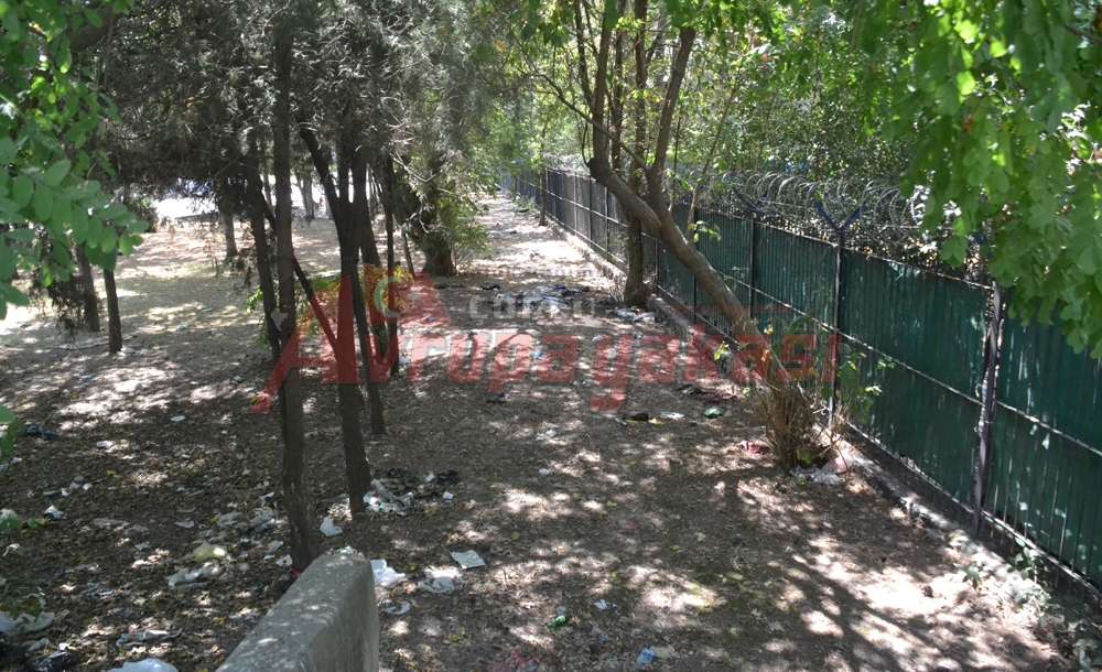 Park Başka Bahara