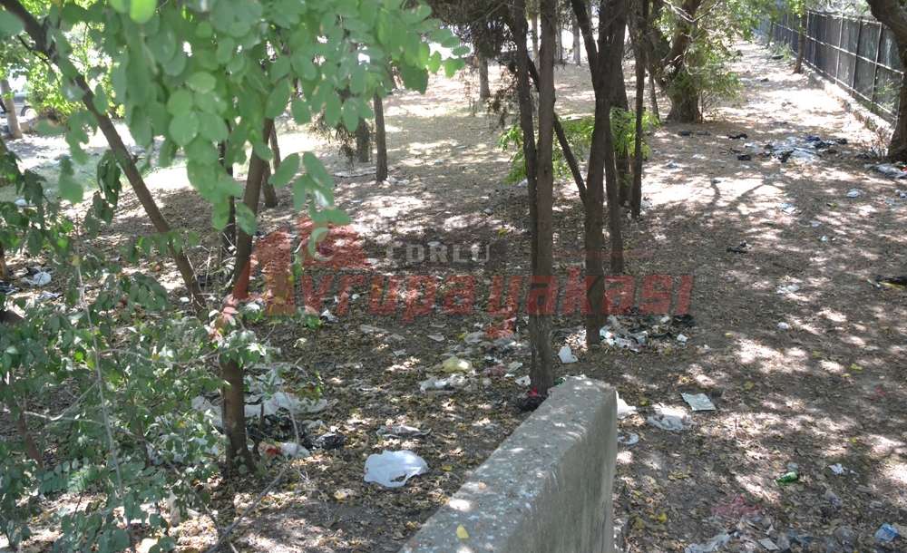 Park Başka Bahara