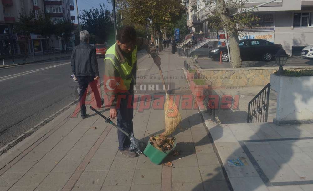 Yere Düşen Yapraklar Temizlendi