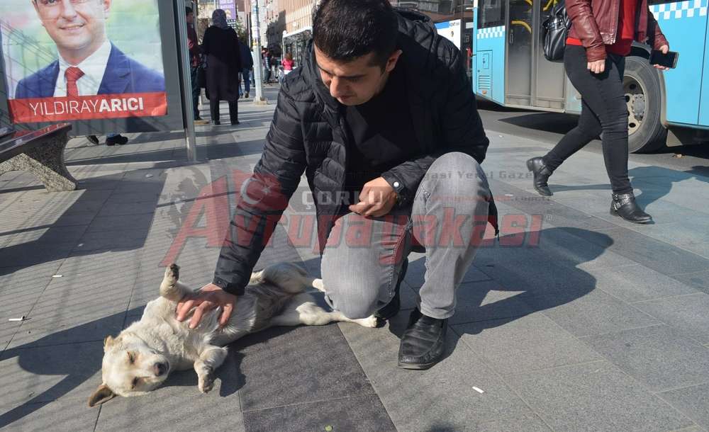 “Onlar İçin Yemek, Sevgi Ve İlgiden Sonra Geliyor”