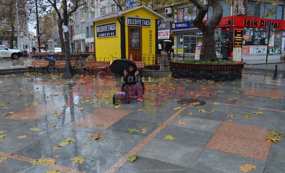 Asiye Teyze Yardım Bekliyor